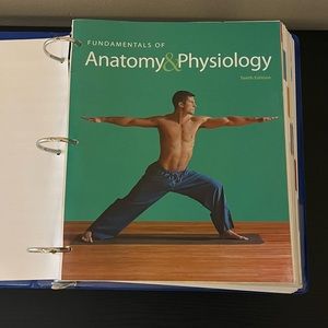 Fundamental of anatomy and physiology